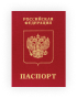 Паспорт постояльца ксерокопия 2 шт